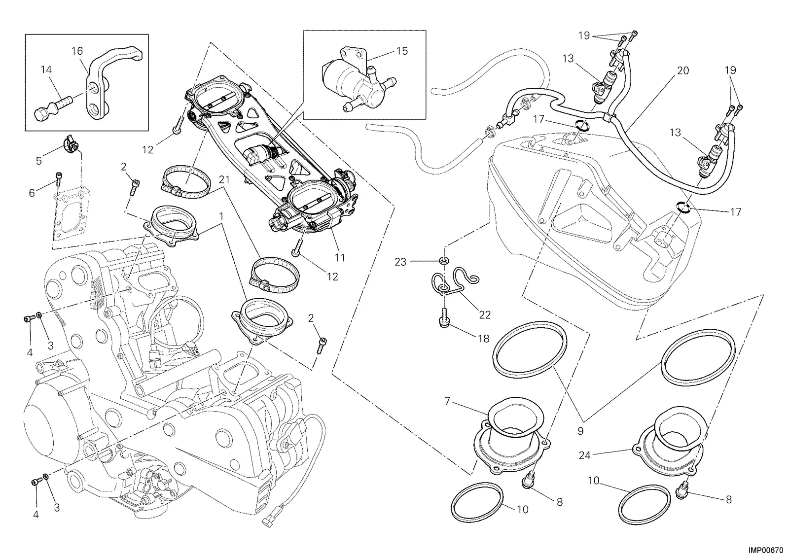 CORPO BORBOLETA