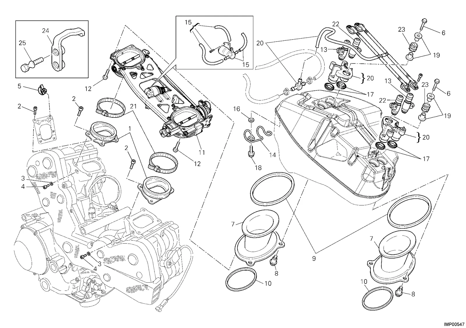 CORPO BORBOLETA